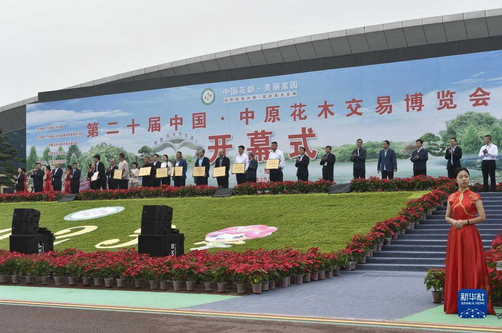 狮子机游戏下载